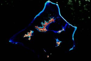 Arrecife de coral fotografiado por el satélite Landsat 7 de la NASA. Crédito: NASA. de National Aeronautics and Space Administration National Aeronautics and Space Administration